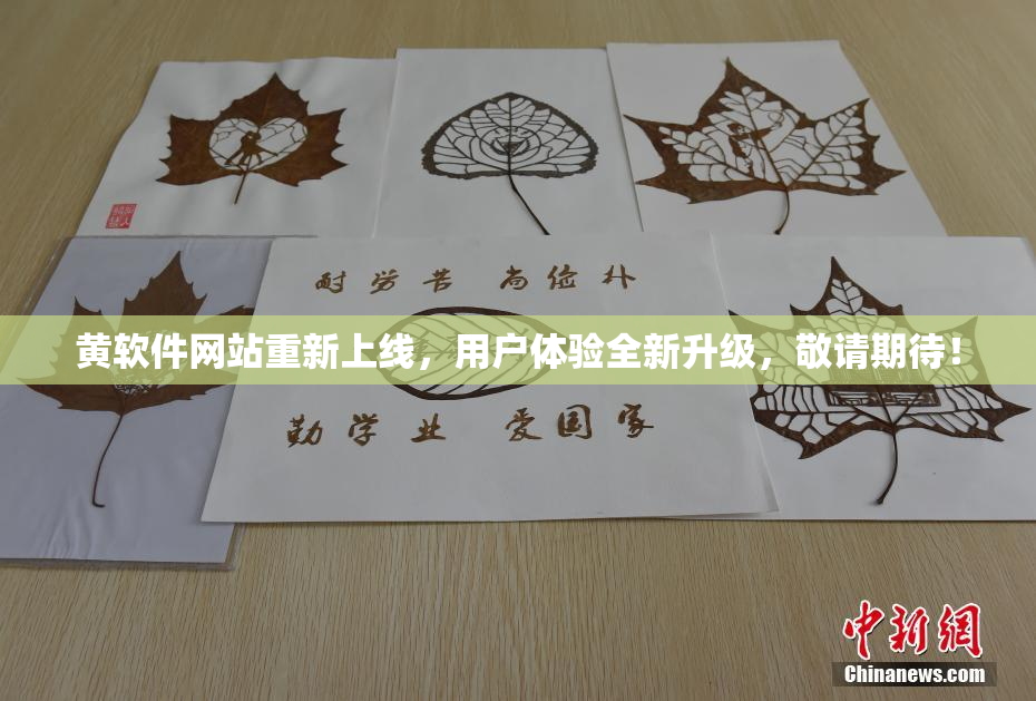 黄软件网站重新上线，用户体验全新升级，敬请期待！