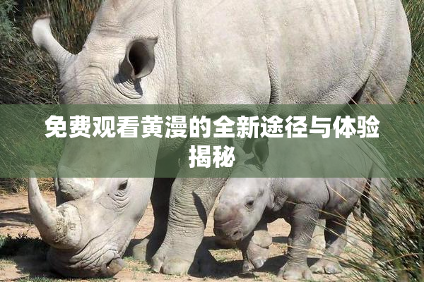 免费观看黄漫的全新途径与体验揭秘