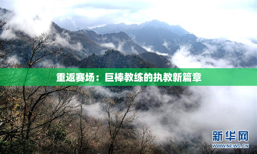 重返赛场：巨棒教练的执教新篇章