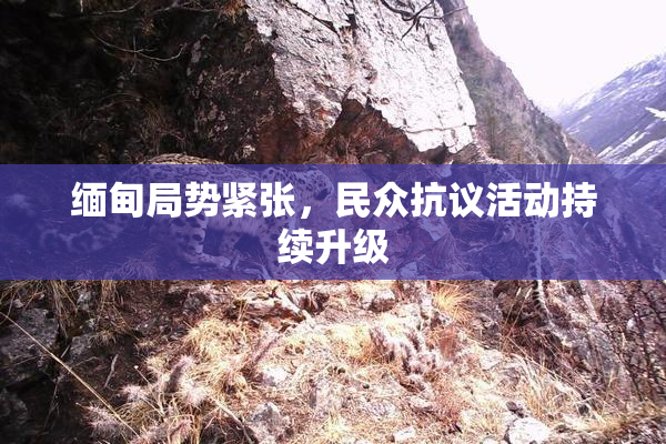 缅甸局势紧张，民众抗议活动持续升级