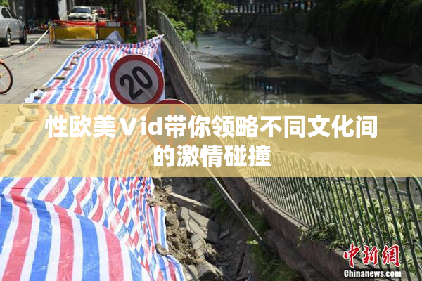 性欧美Ⅴid带你领略不同文化间的激情碰撞