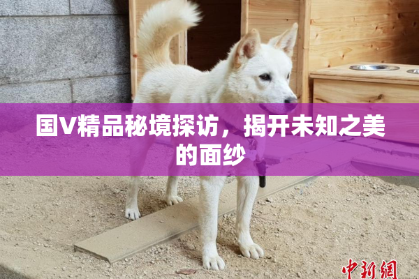 国V精品秘境探访，揭开未知之美的面纱