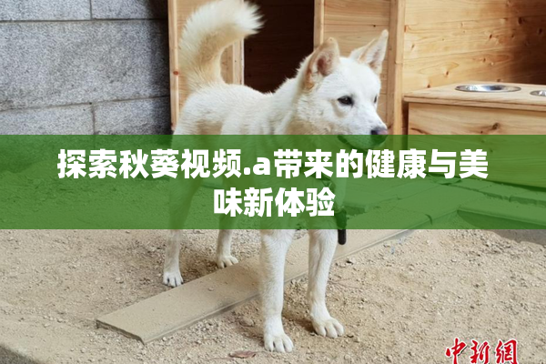 探索秋葵视频.a带来的健康与美味新体验