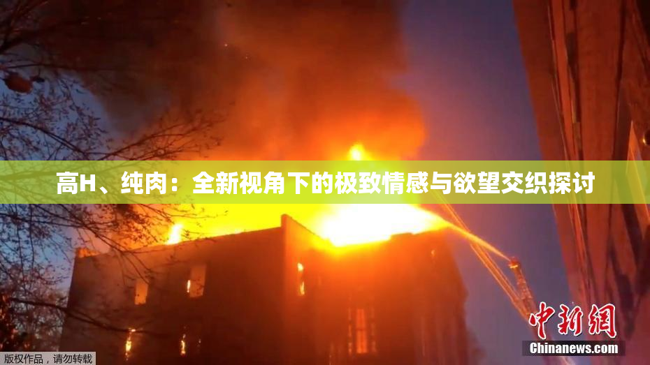 高H、纯肉：全新视角下的极致情感与欲望交织探讨