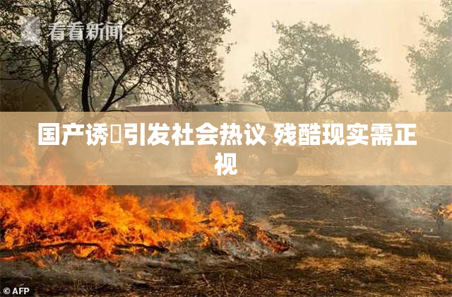 国产诱奷引发社会热议 残酷现实需正视