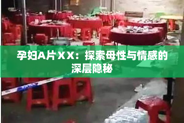 孕妇A片ⅩX：探索母性与情感的深层隐秘