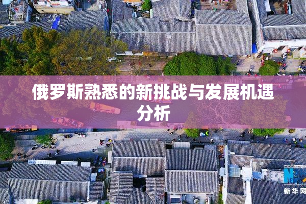 俄罗斯熟悉的新挑战与发展机遇分析