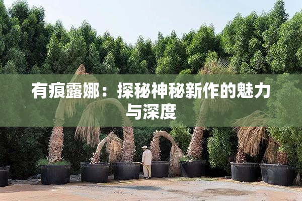 有痕露娜：探秘神秘新作的魅力与深度