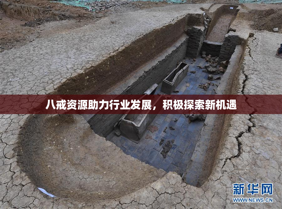 八戒资源助力行业发展，积极探索新机遇