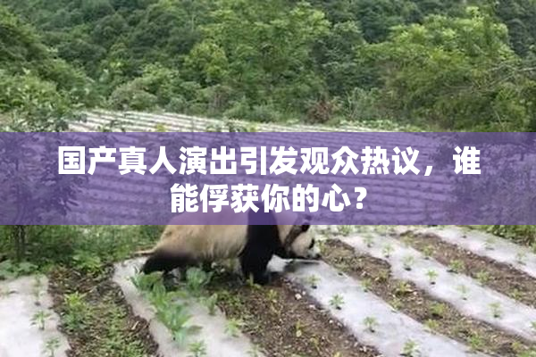 国产真人演出引发观众热议，谁能俘获你的心？