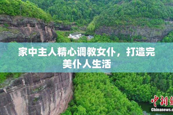 家中主人精心调教女仆，打造完美仆人生活