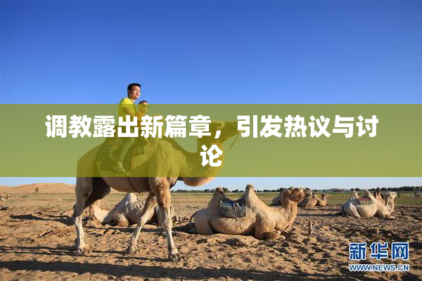 调教露出新篇章，引发热议与讨论