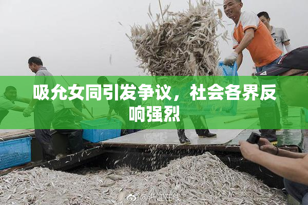 吸允女同引发争议，社会各界反响强烈