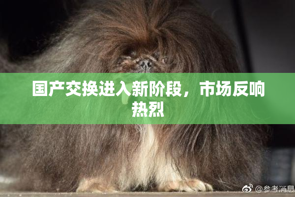 国产交换进入新阶段，市场反响热烈
