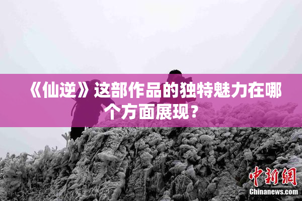 《仙逆》这部作品的独特魅力在哪个方面展现？