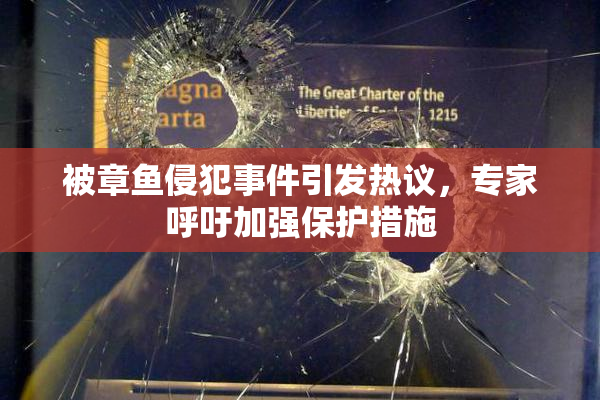 被章鱼侵犯事件引发热议，专家呼吁加强保护措施