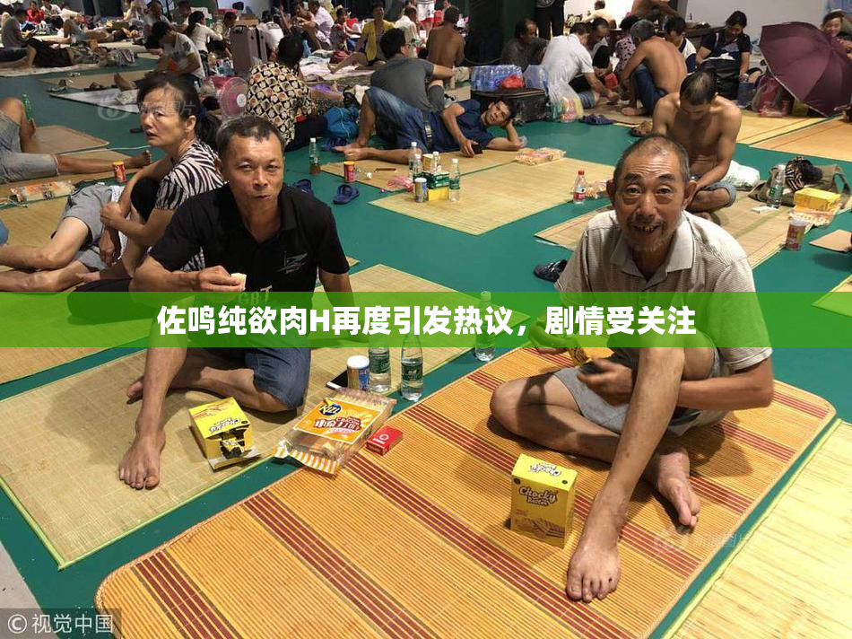 佐鸣纯欲肉H再度引发热议，剧情受关注