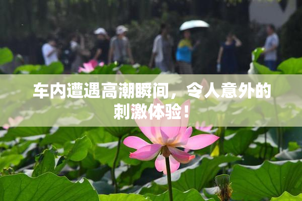 车内遭遇高潮瞬间，令人意外的刺激体验！