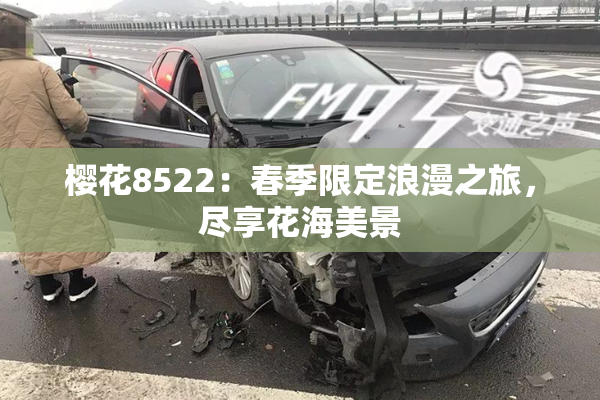 樱花8522：春季限定浪漫之旅，尽享花海美景