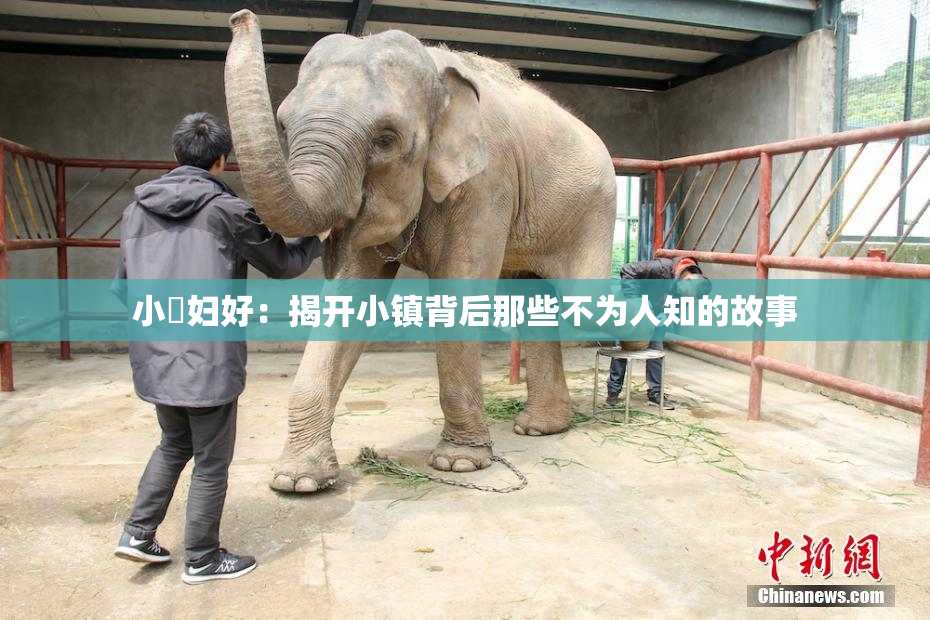小婬妇好：揭开小镇背后那些不为人知的故事