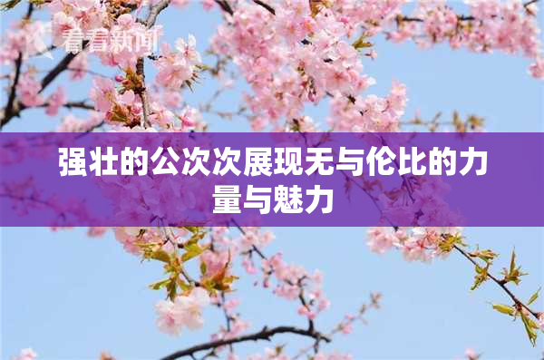 强壮的公次次展现无与伦比的力量与魅力