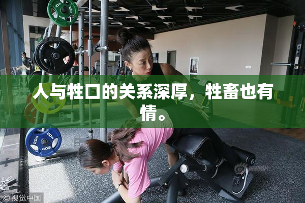 人与牲口的关系深厚，牲畜也有情。