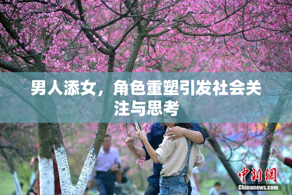 男人添女，角色重塑引发社会关注与思考