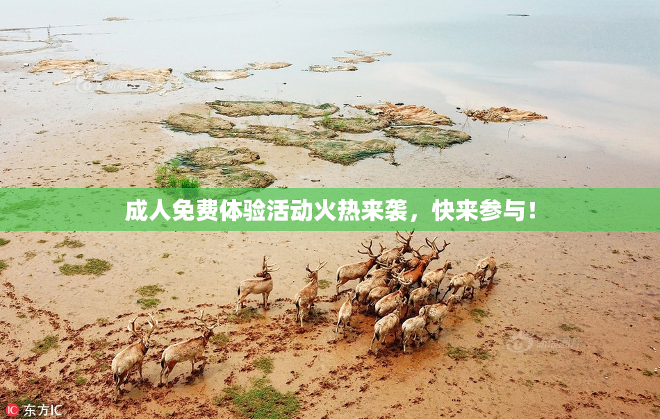 成人免费体验活动火热来袭，快来参与！
