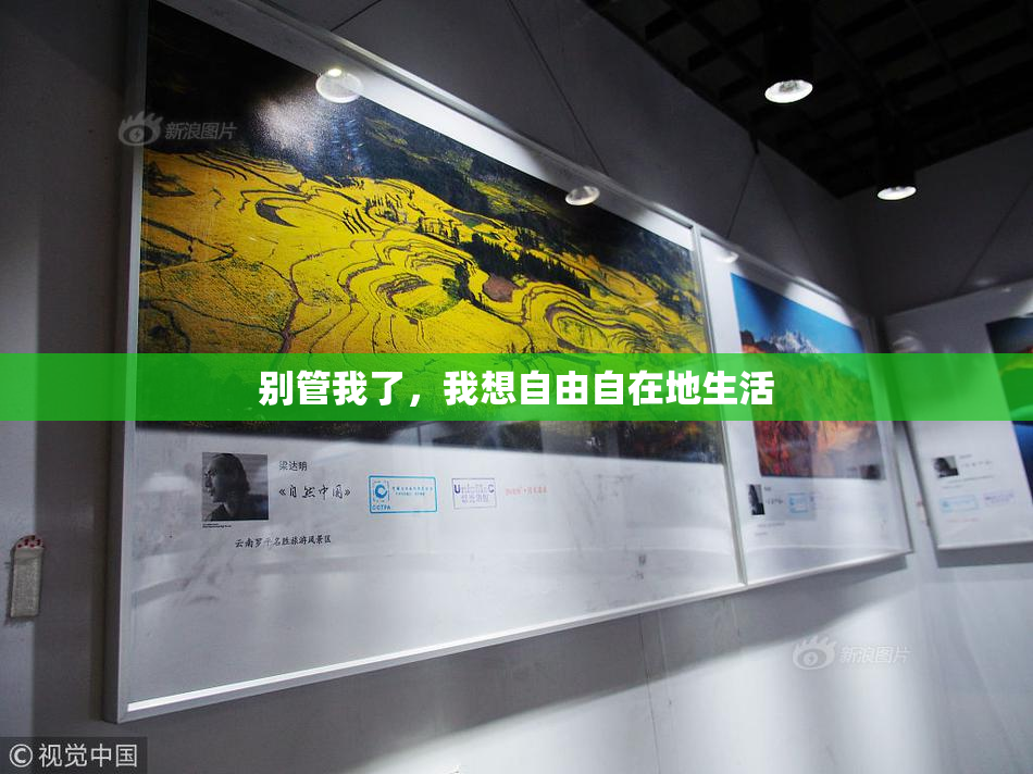 别管我了，我想自由自在地生活