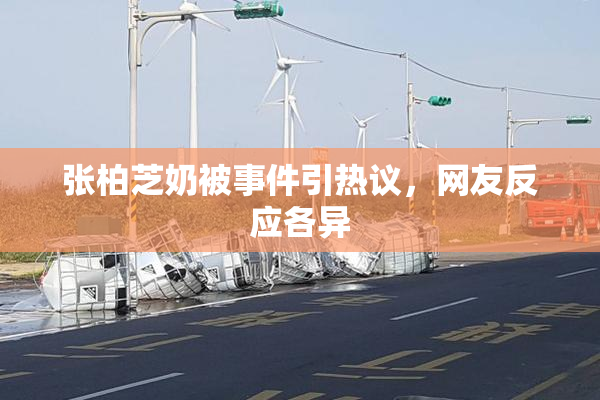 张柏芝奶被事件引热议，网友反应各异