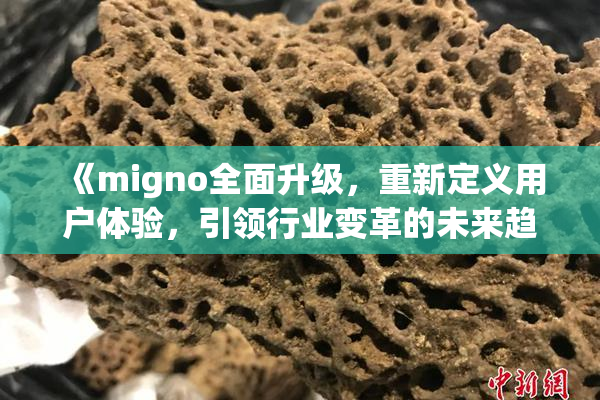 《migno全面升级，重新定义用户体验，引领行业变革的未来趋势》