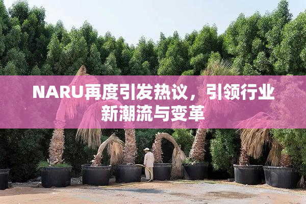 NARU再度引发热议，引领行业新潮流与变革
