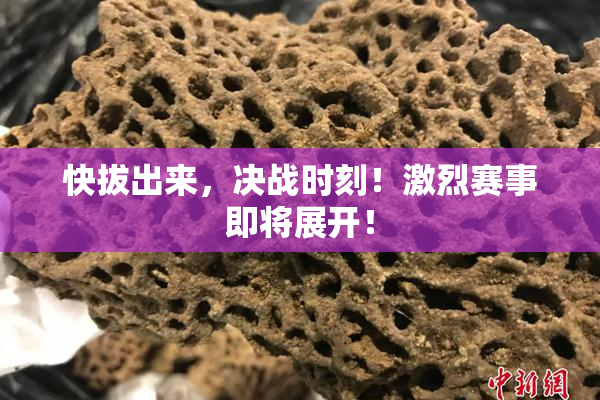 快拔出来，决战时刻！激烈赛事即将展开！