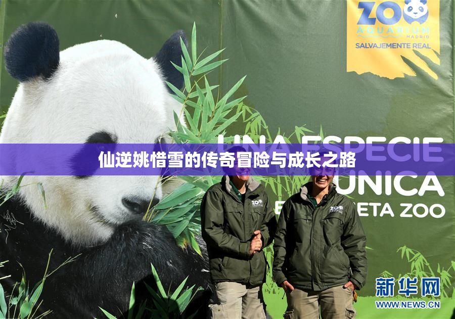 仙逆姚惜雪的传奇冒险与成长之路
