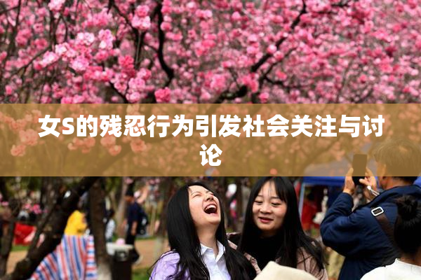 女S的残忍行为引发社会关注与讨论