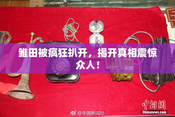 雏田被疯狂扒开，揭开真相震惊众人！