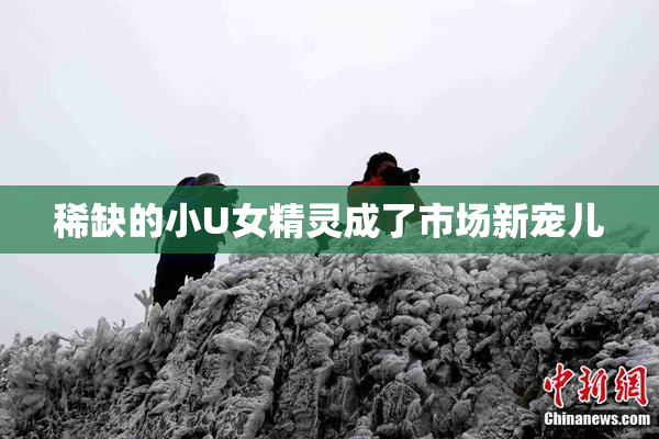 稀缺的小U女精灵成了市场新宠儿