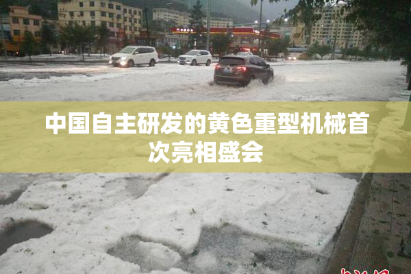 中国自主研发的黄色重型机械首次亮相盛会