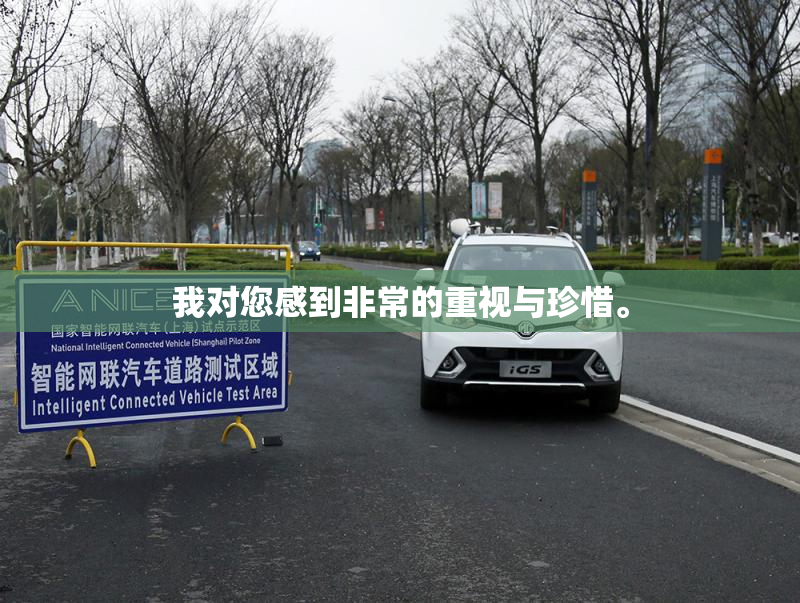 我对您感到非常的重视与珍惜。