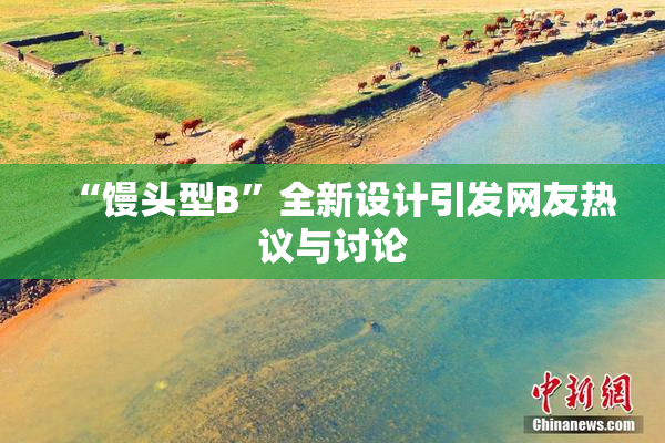 “馒头型B”全新设计引发网友热议与讨论