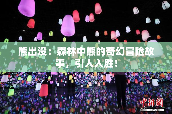 熊出没：森林中熊的奇幻冒险故事，引人入胜！