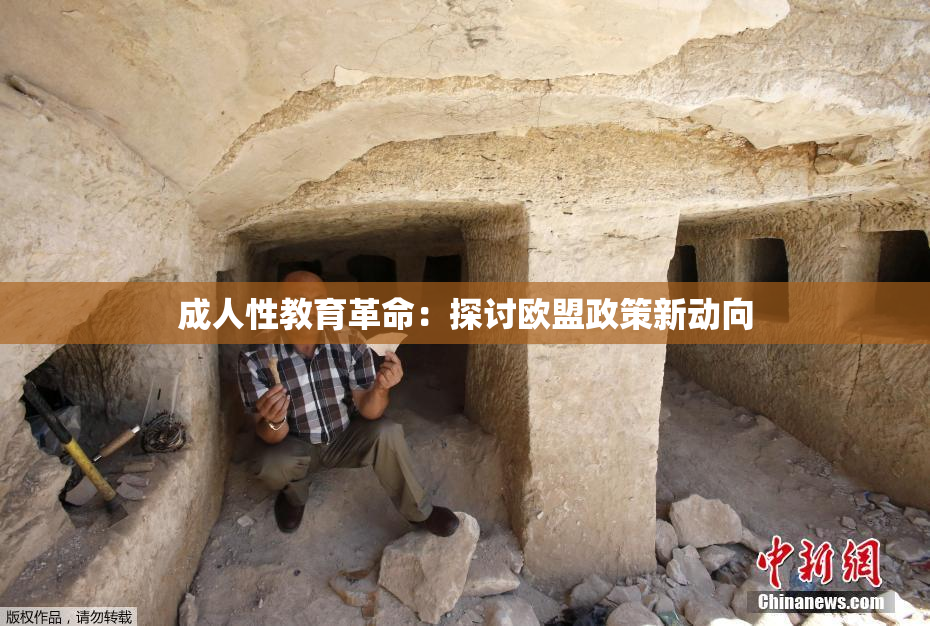 成人性教育革命：探讨欧盟政策新动向