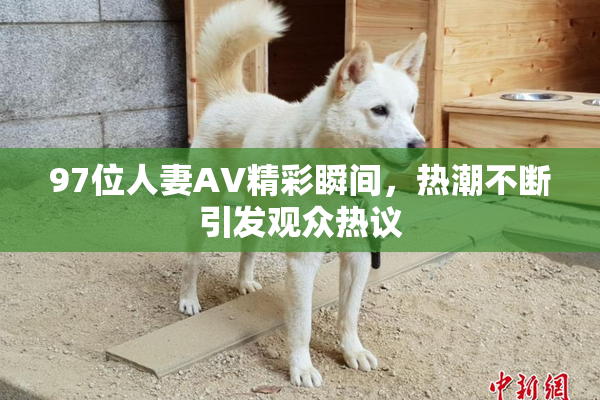 97位人妻AV精彩瞬间，热潮不断引发观众热议