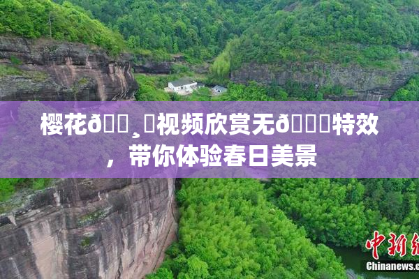 樱花🌸‌视频欣赏无🈚特效，带你体验春日美景