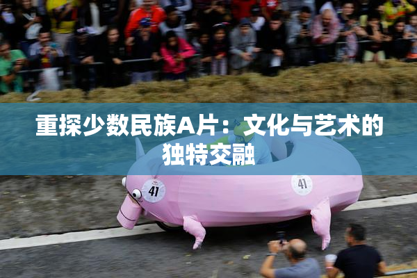 重探少数民族A片：文化与艺术的独特交融
