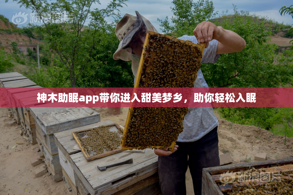 神木助眠app带你进入甜美梦乡，助你轻松入眠