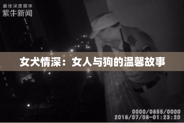 女犬情深：女人与狗的温馨故事