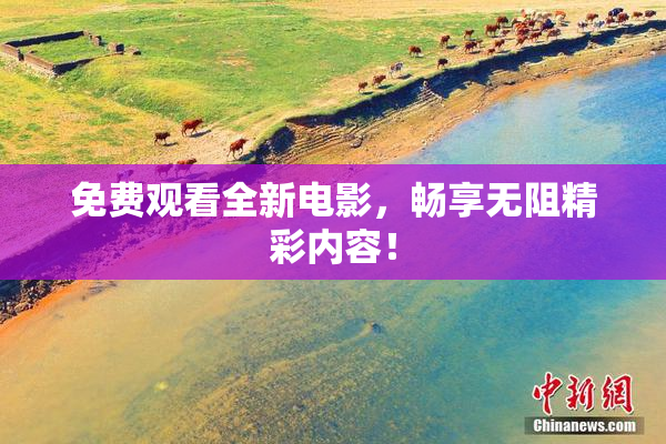 免费观看全新电影，畅享无阻精彩内容！