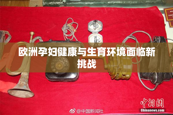 欧洲孕妇健康与生育环境面临新挑战