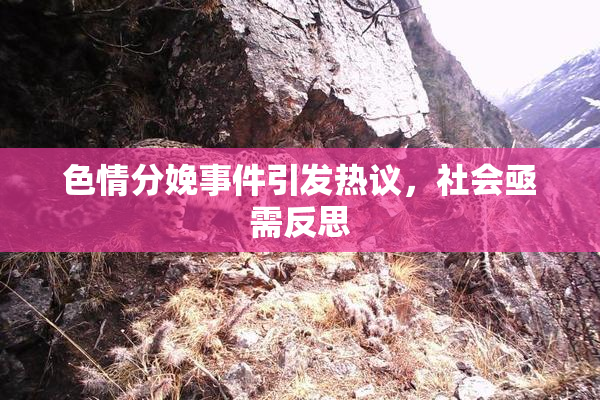 色情分娩事件引发热议，社会亟需反思